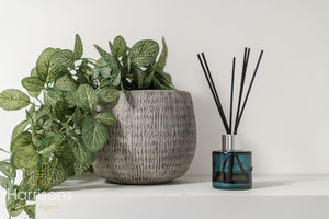 Photo 21- click for photo gallery